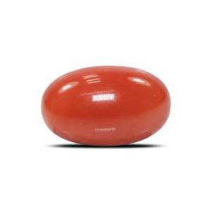 Red Coral/Munga 